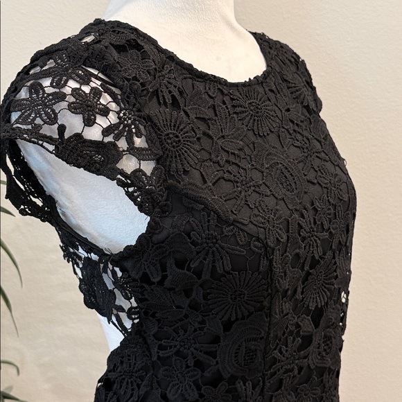 Mi Ami Francesca’s Black Dressy Lined Lace Mini Dress Open Back Fitted NWT M - Picture 6 of 16